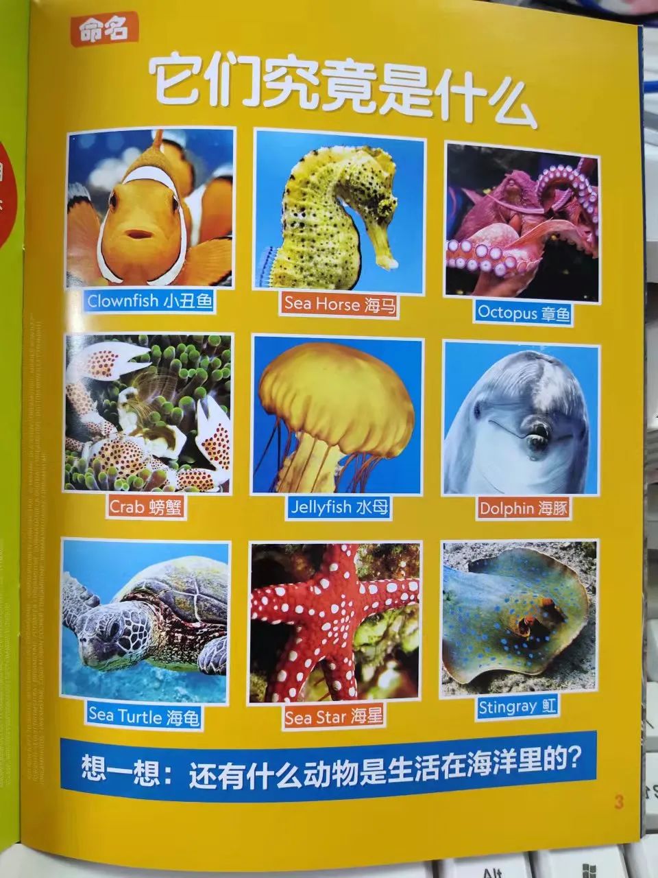 给孩子有意义的开学礼物