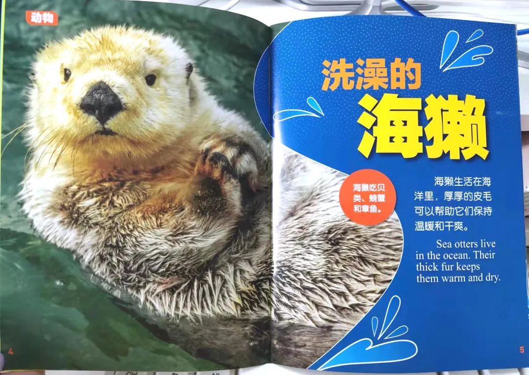 给孩子有意义的开学礼物