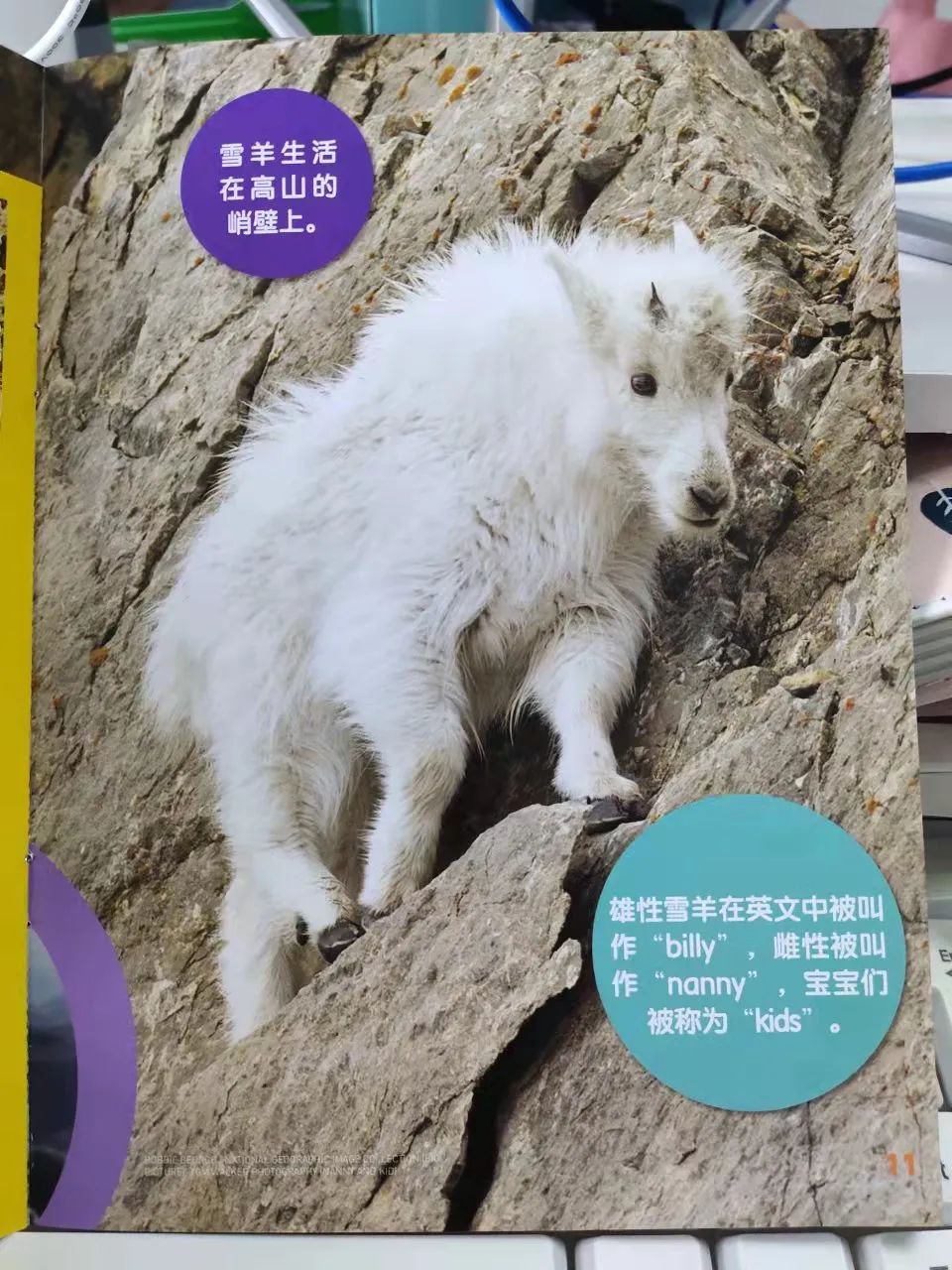 给孩子有意义的开学礼物