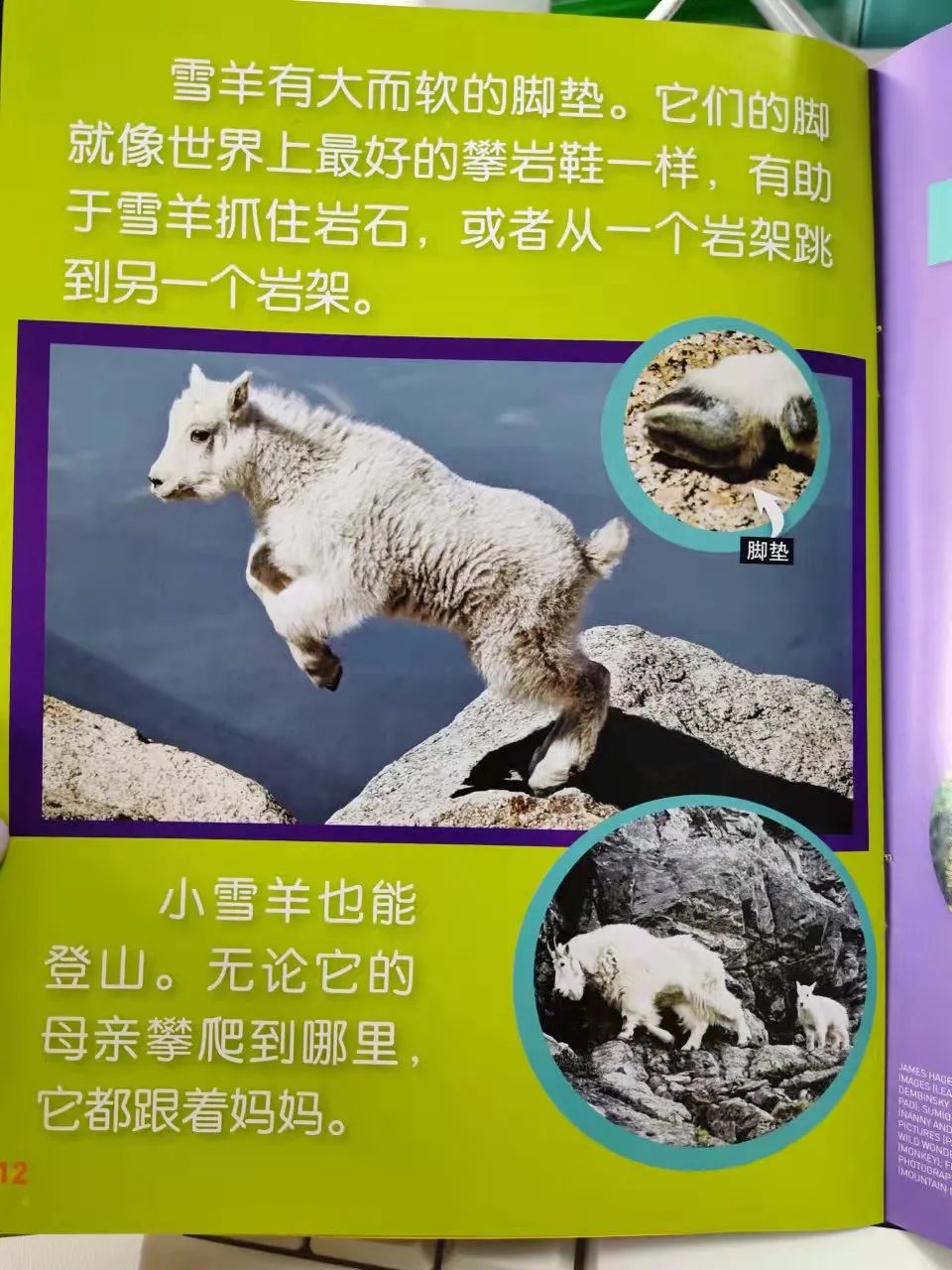 给孩子有意义的开学礼物