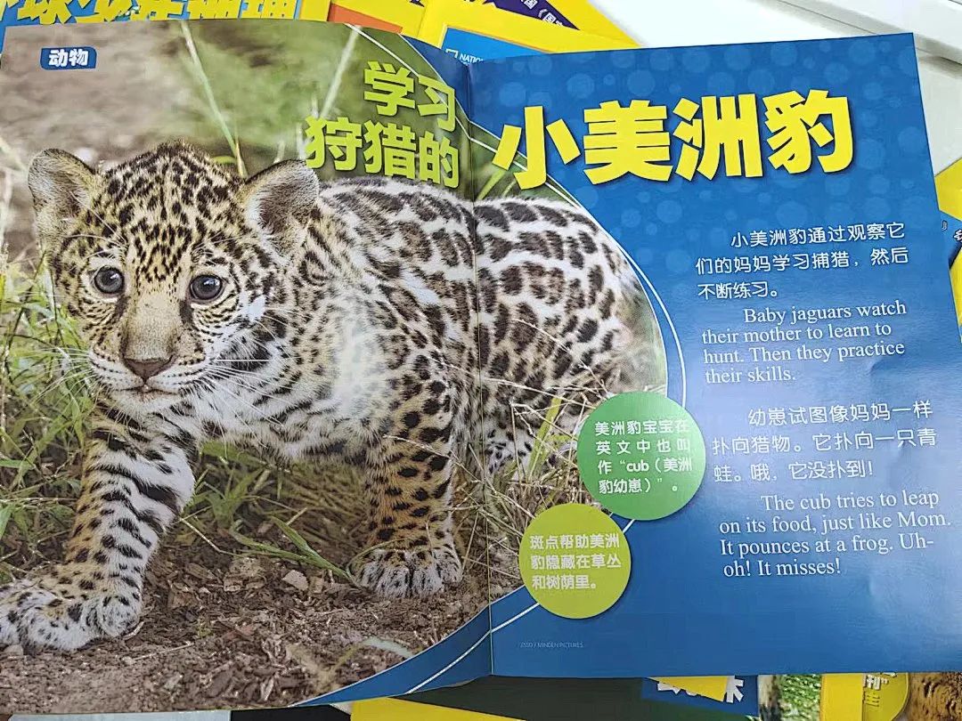 给孩子有意义的开学礼物
