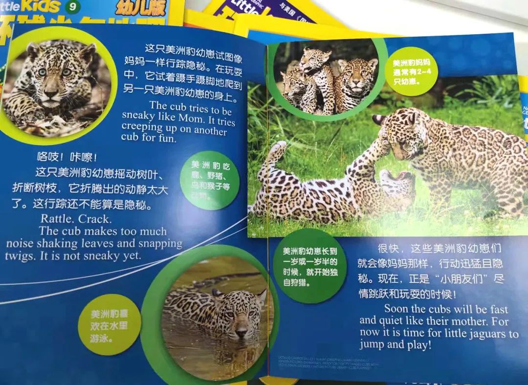给孩子有意义的开学礼物