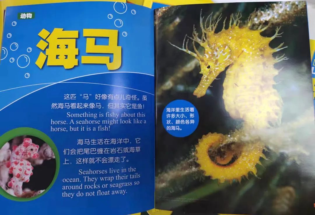 给孩子有意义的开学礼物