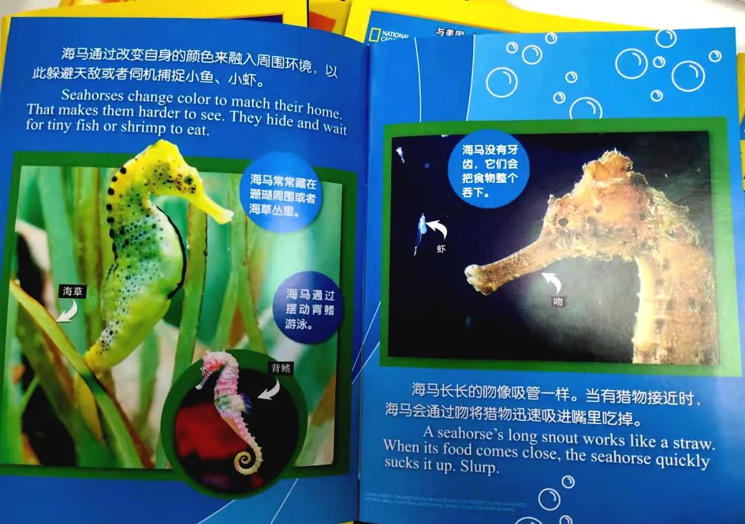 给孩子有意义的开学礼物