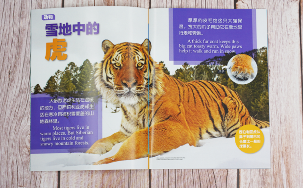 给孩子有意义的开学礼物
