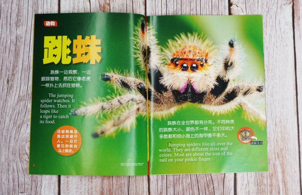 给孩子有意义的开学礼物