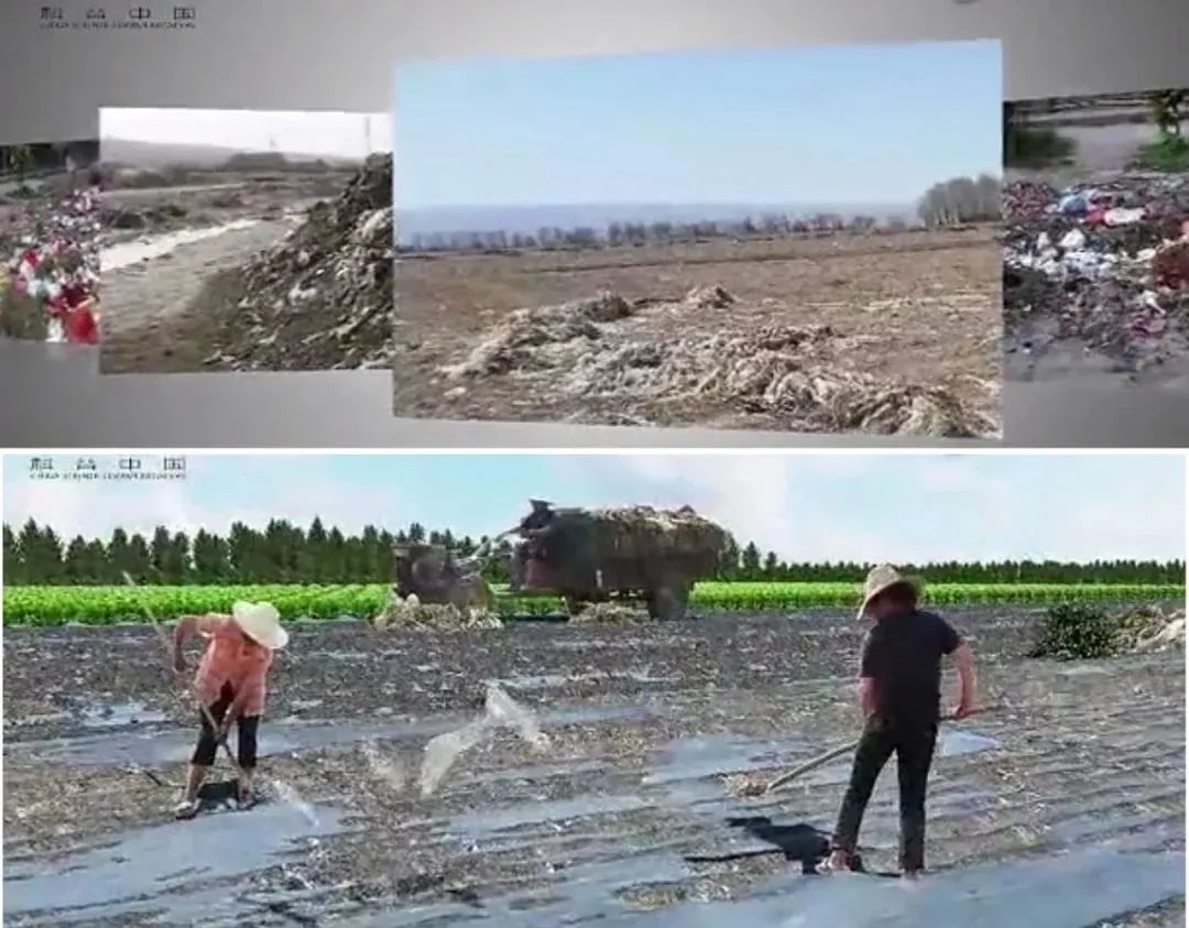 白色污染是什么,白色污染是什么意思