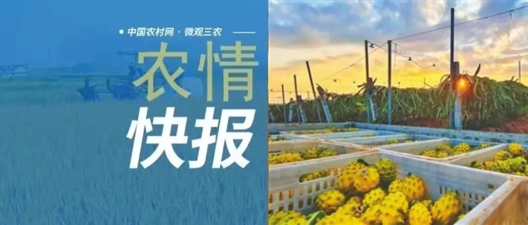 農(nóng)情快報(bào)〔2022.2.16〕河南給小麥生產(chǎn)安全備足“保健經(jīng)費(fèi)”