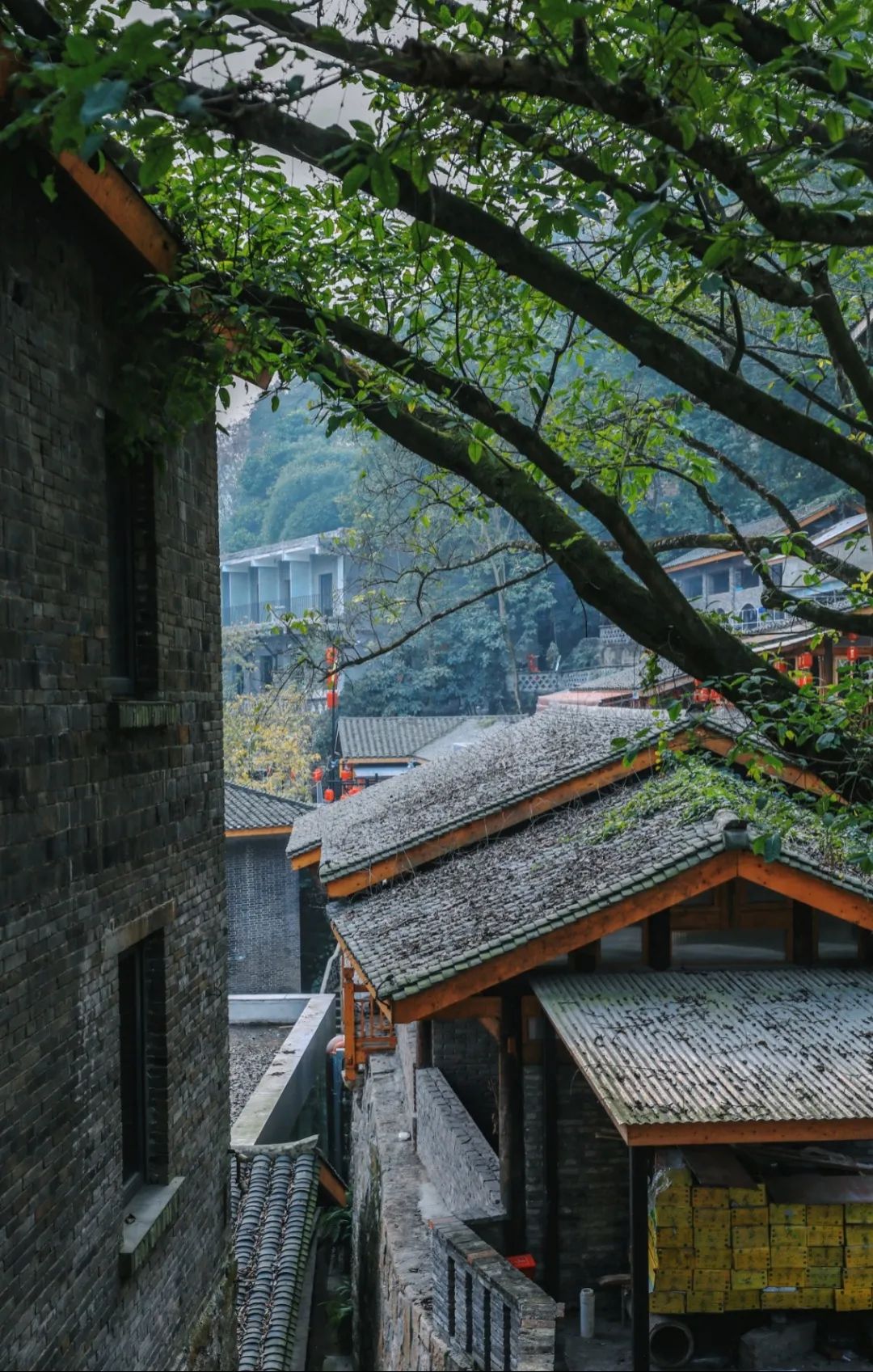 绵碚一家亲 || 「金刚碑」超全游玩攻略，泡温泉、吃美食、看演出、住民宿…安排！
