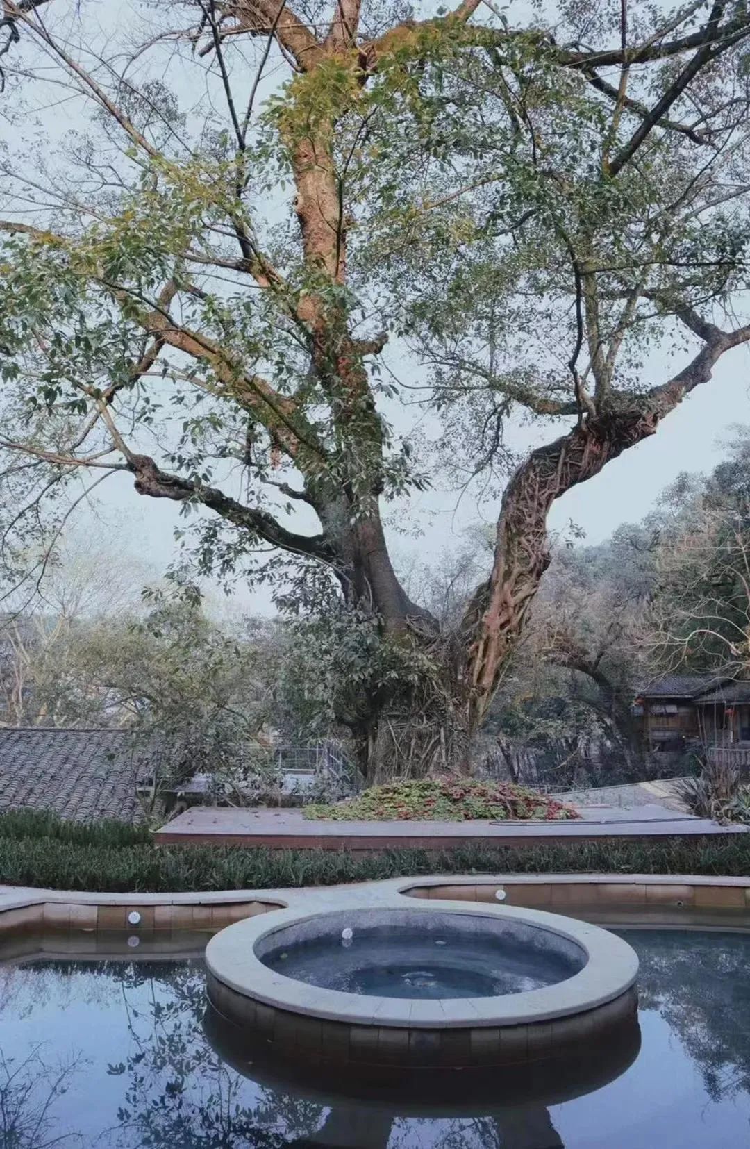 绵碚一家亲 || 「金刚碑」超全游玩攻略，泡温泉、吃美食、看演出、住民宿…安排！