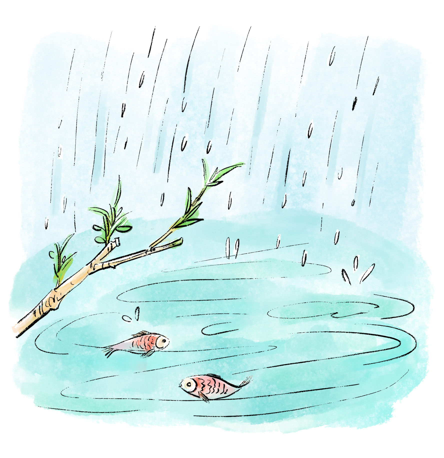 正如元代成书的《月令七十二候集解》中所说:"雨水,正月中.