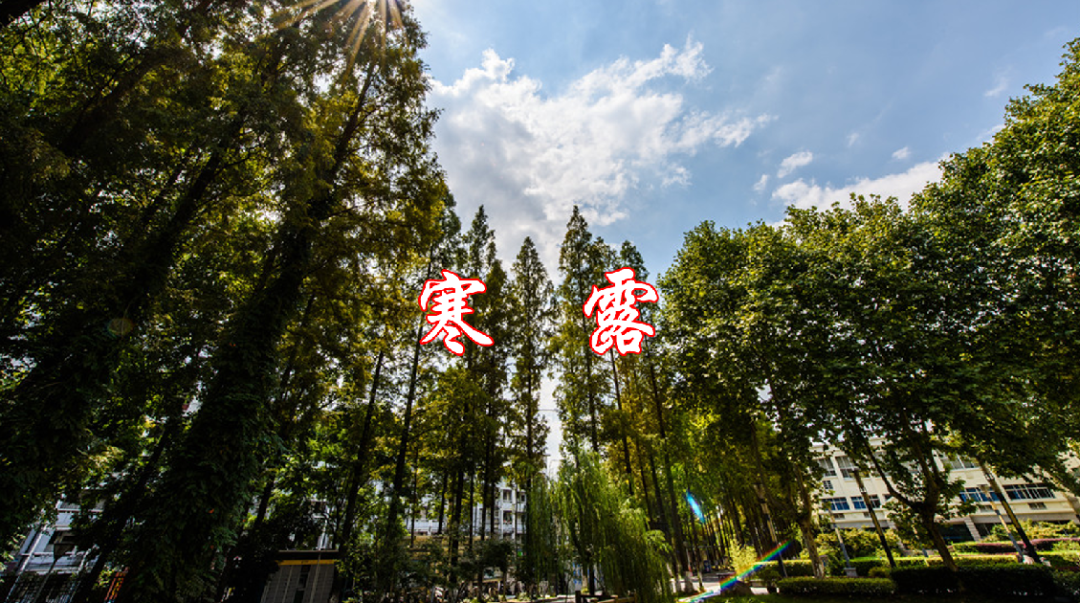 雨水日，带你走进这所学校如诗如画的二十四节气