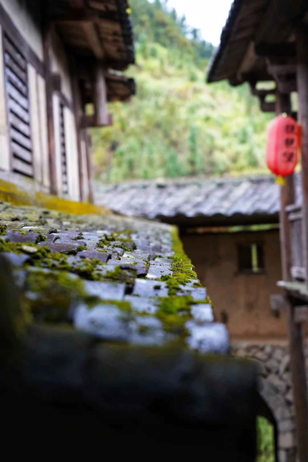 去永安，来一场开「盲盒」式的旅行