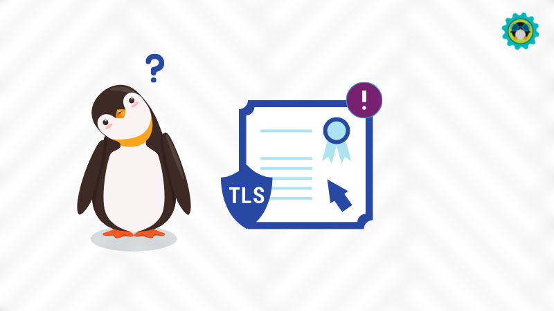 在 Linux 中解决“Unacceptable TLS certificate”的问题
