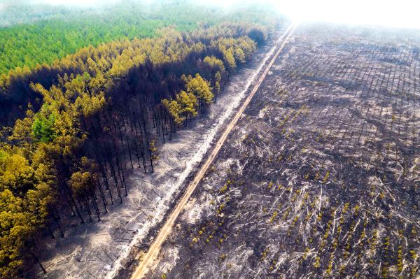 逃离自制的战争乌鸦尼奥难民到俄罗斯