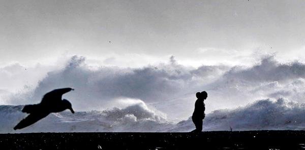 逃离自制的战争乌鸦尼奥难民到俄罗斯