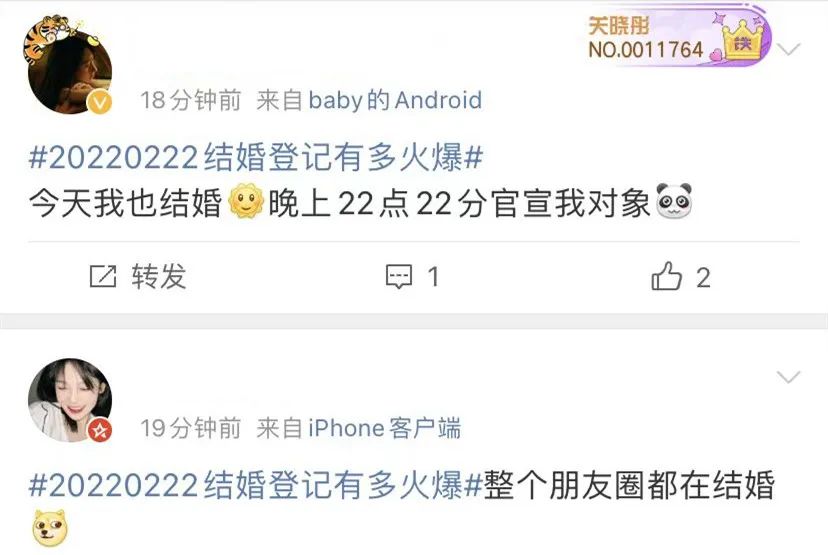 凌晨4點就來排隊!今天到底有多火 爸媽逼婚 第12張-戀愛小秘書-娜米 凌晨4點就來排隊!今天到底有多火 爸媽逼婚 第12張