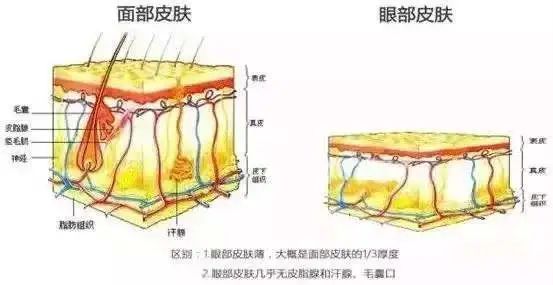这些关于眼霜的几个真相，你一定要知道