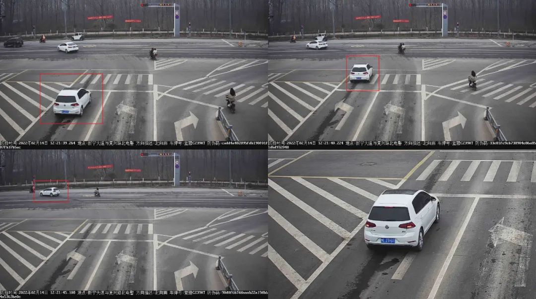 曝光台丨违反信号灯行驶车辆曝光！