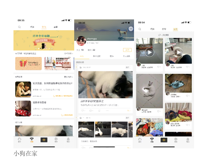宠物APP竞品分析
