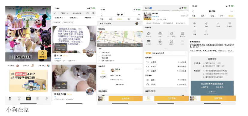 宠物APP竞品分析