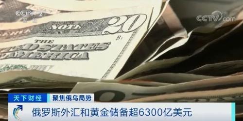 俄罗斯建立了金融“盾牌”，以抵抗欧美制裁