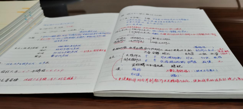 北大送你幸运盲盒！100天，冲鸭！