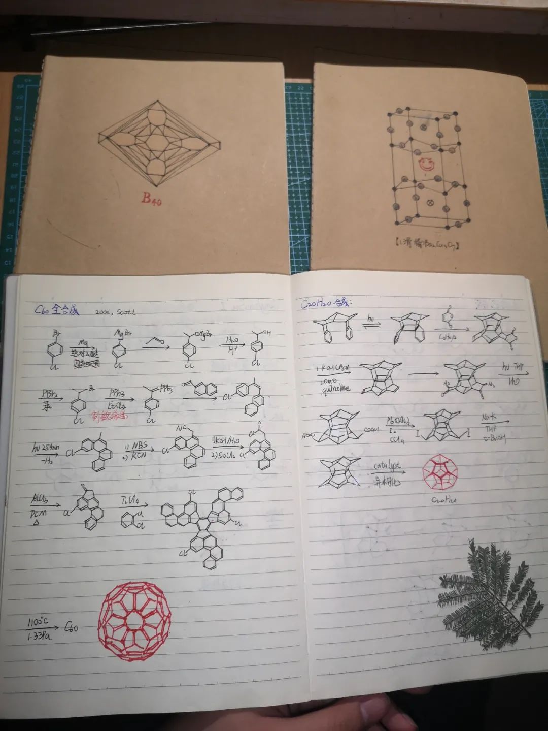 北大送你幸运盲盒！100天，冲鸭！