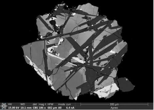 重磅！2021年度中国科学十大进展公布