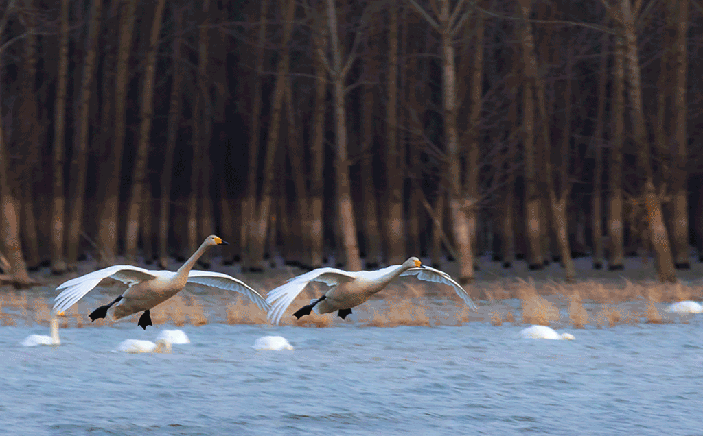退钱了！今天开始
