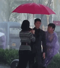 前妻的儿子（前妻变优秀了前夫心理）