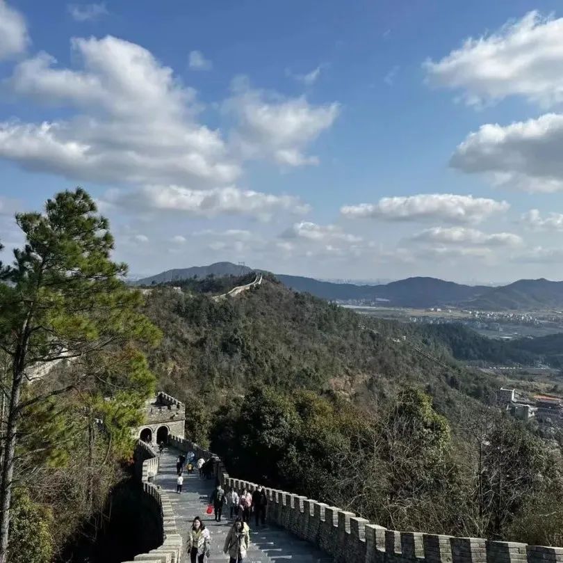 春游正当时！赏花、爬山...春季打卡好“趣”处！