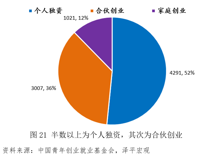 中国青年创业发展报告（2021）