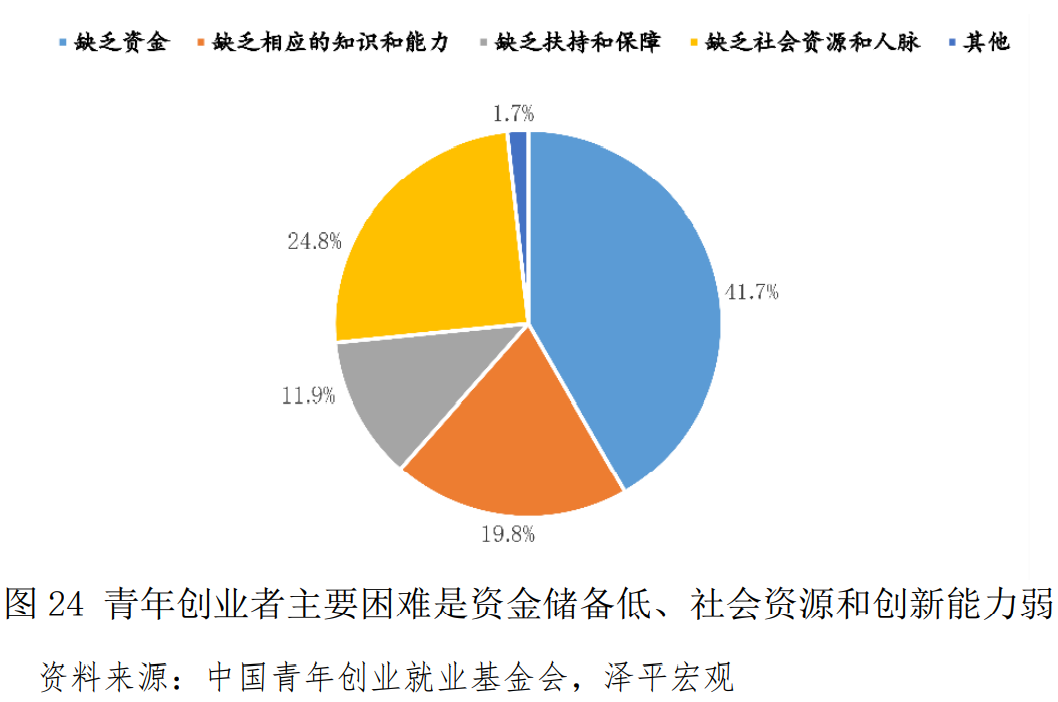 中国青年创业发展报告（2021）