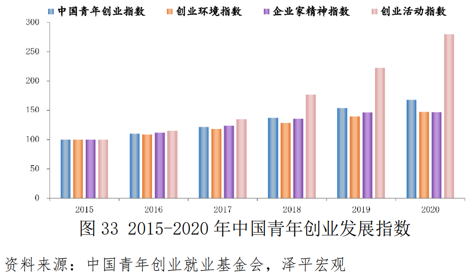 中国青年创业发展报告（2021）