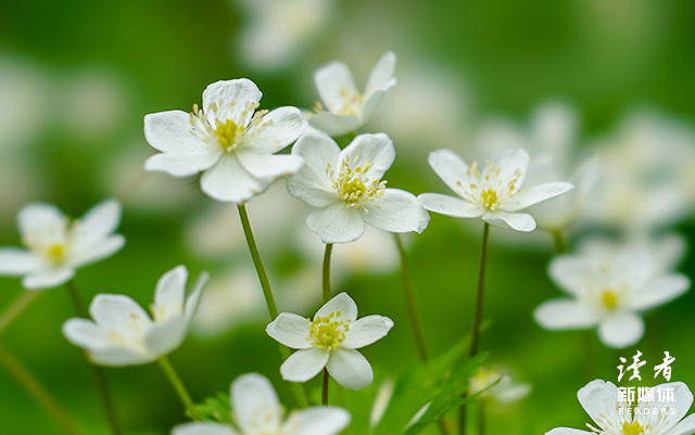 8个充满力量的句子，愿你不缺从头再来的勇气