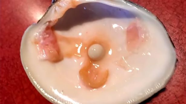 ף34꣬гԳֱ8.8ֵǧԪ