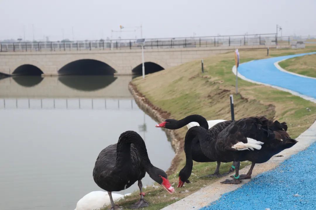 沉浸式体验！江淮校园好“趣”处→