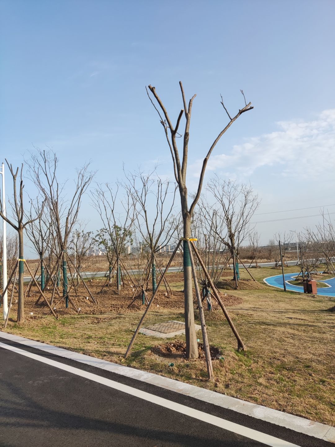 沉浸式体验！江淮校园好“趣”处→