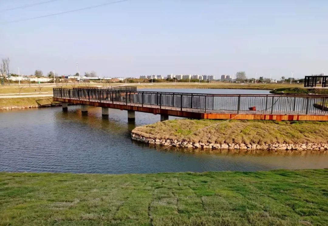 沉浸式体验！江淮校园好“趣”处→