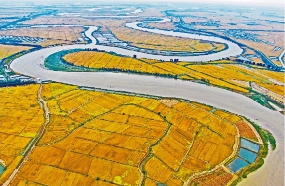 護(hù)好黑土地 讓國(guó)之糧倉(cāng)更豐實(shí)——牢記習(xí)近平總書(shū)記囑托 遼吉黑三省代表委員共話保護(hù)好利用好黑土地