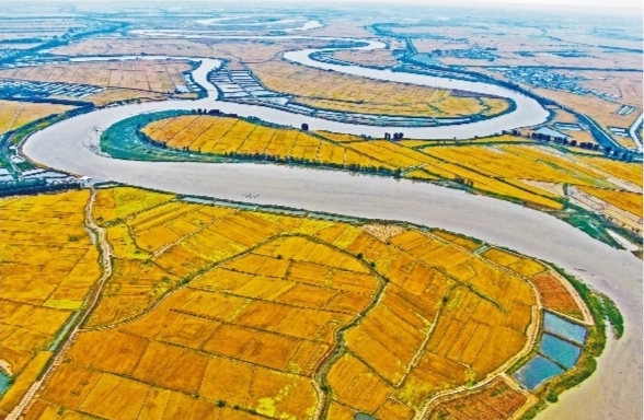 护好黑土地 让国之粮仓更丰实——牢记习近平总书记嘱托 辽吉黑三省代表委员共话保护好利用好黑土地