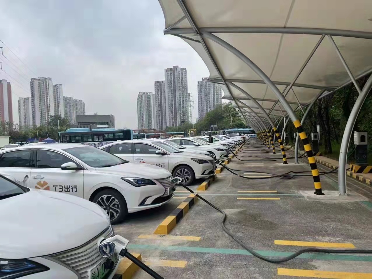 重庆交通信息查询网,重庆交通局官网查询系统