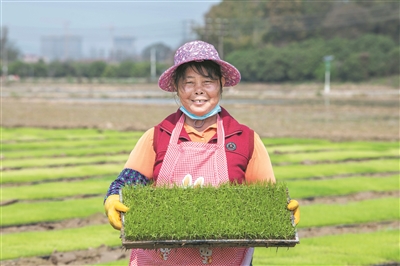 春來土壤肥 人勤備耕忙