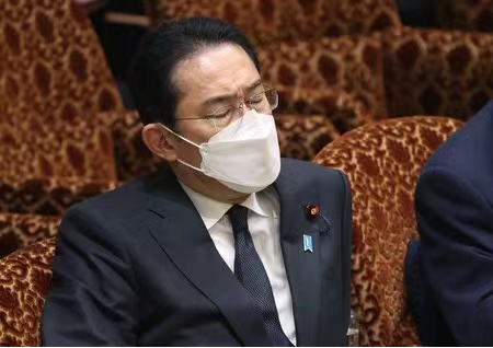 ýơնϵ򼫶˶񻯡ղ˹Ʋ