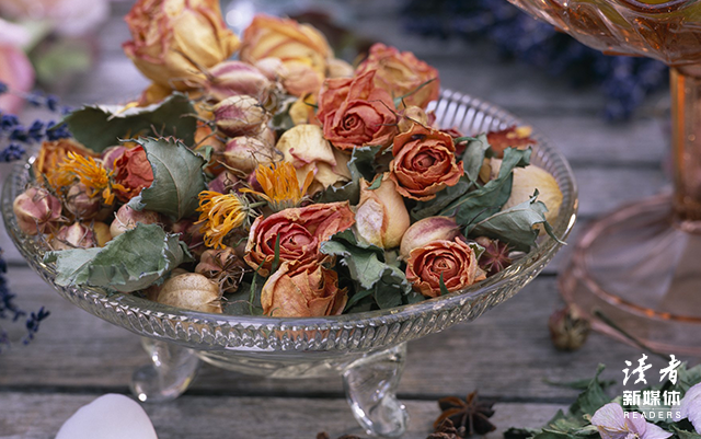 10个关于玫瑰的惊艳句子，愿生活烂漫如花