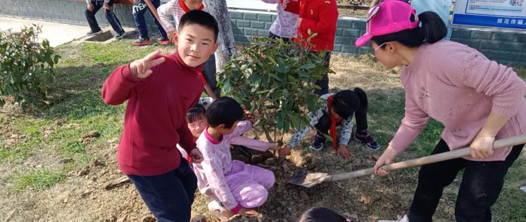 双庙集镇邢铺小学开展植树节活动(图5)