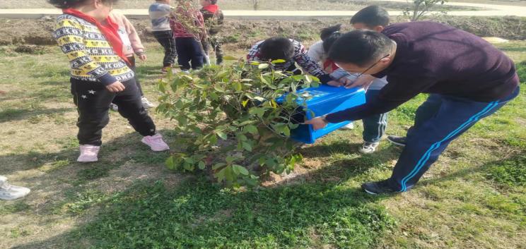 双庙集镇邢铺小学开展植树节活动(图7)