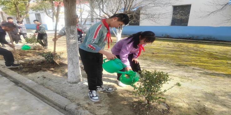 双庙集镇邢铺小学开展植树节活动(图8)