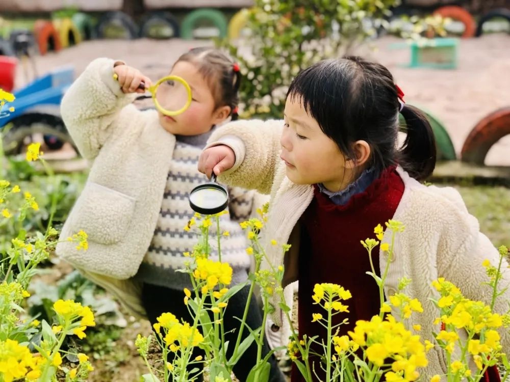 正是春花烂漫时，把最美的校园春景送给你